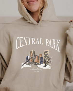 Christmas in Central Park Unisex Pullover Hoodie